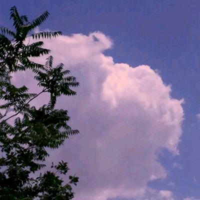 英雄wow变态果盘版下载